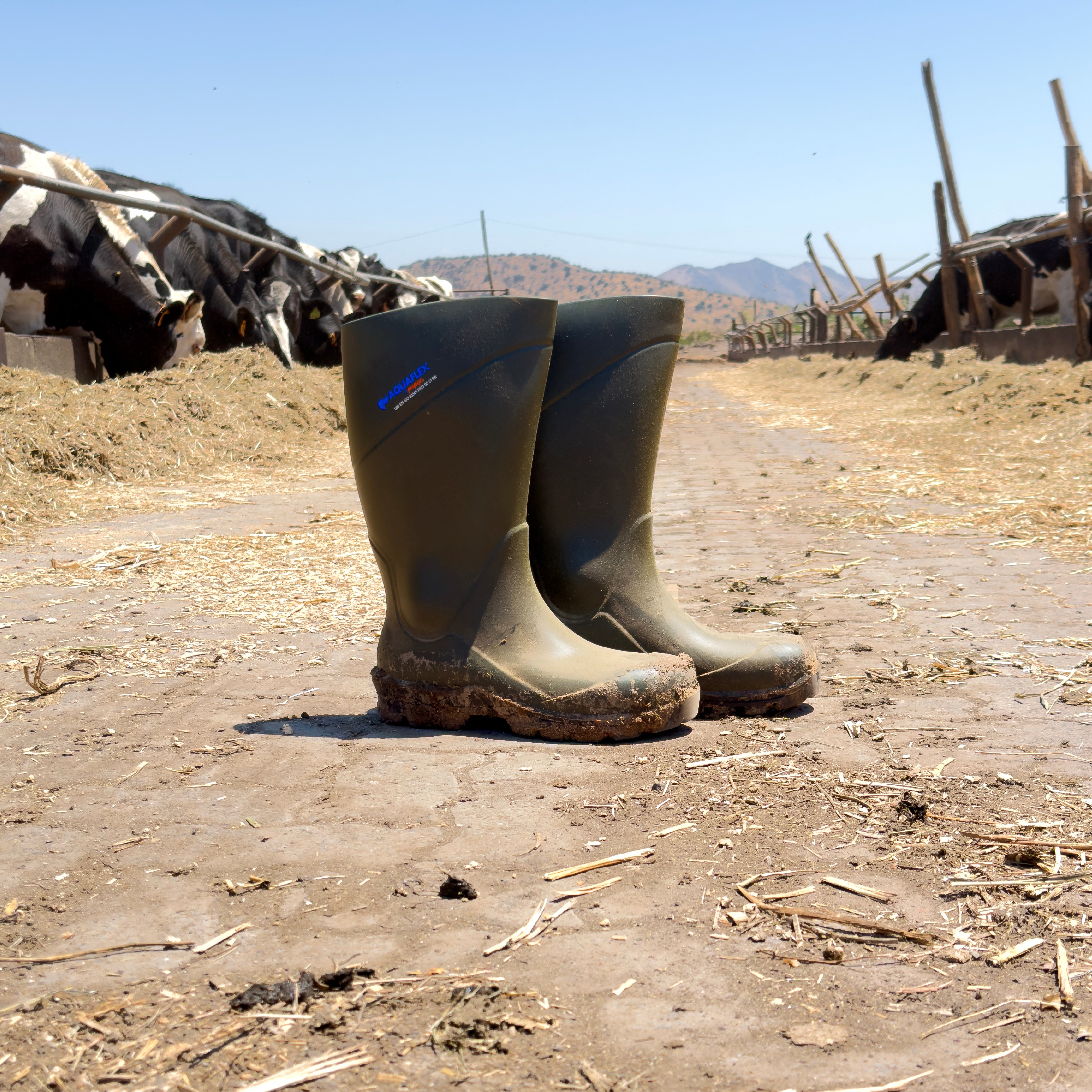Botas