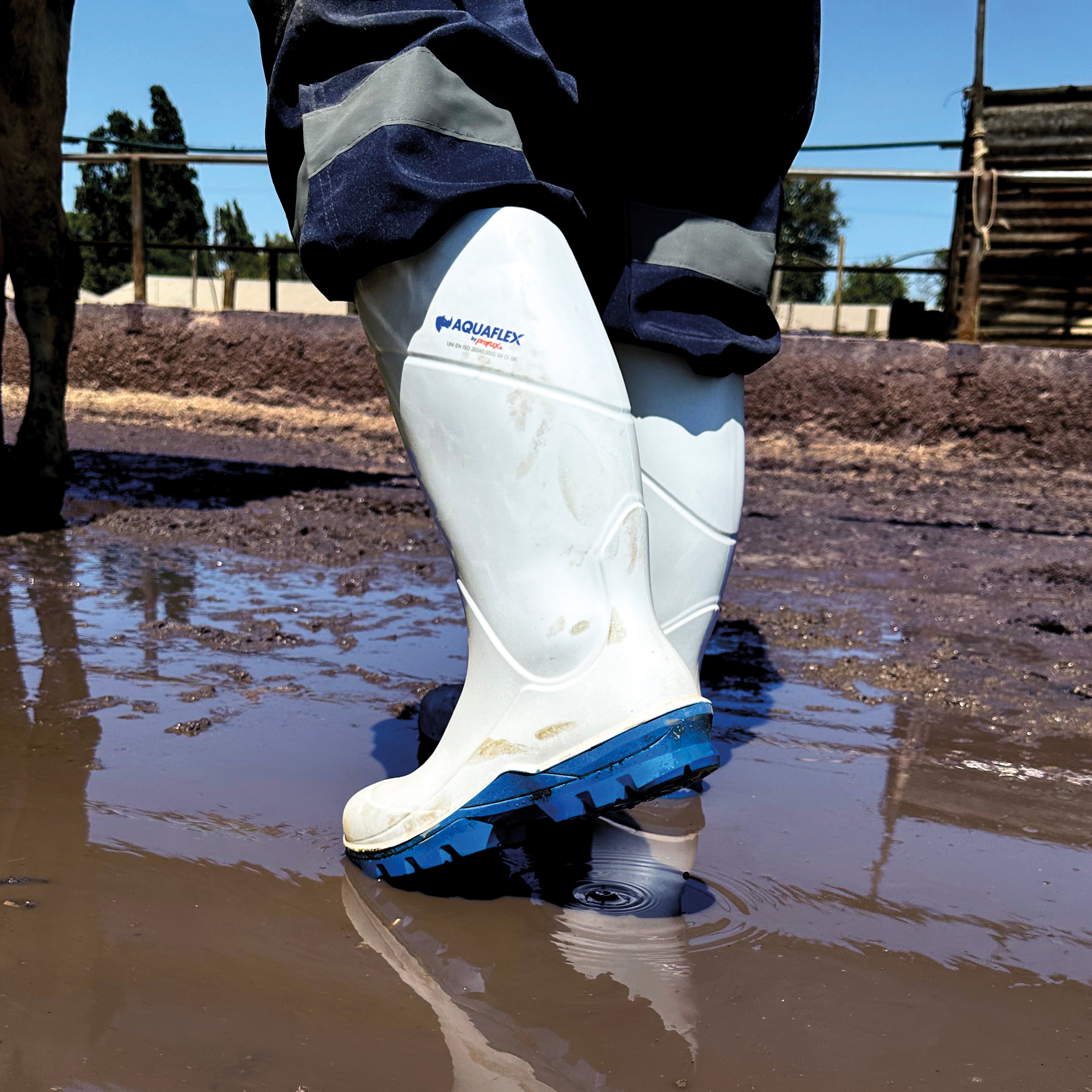 Bota de seguridad AQUAFLEX 506 B-thumbmail-5
